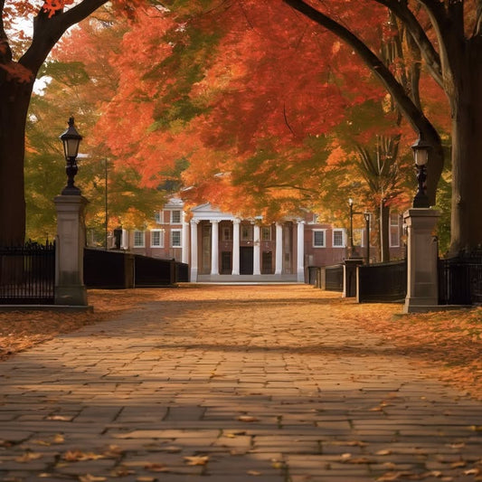 Realizing LinkedIn is its own social battlefield.