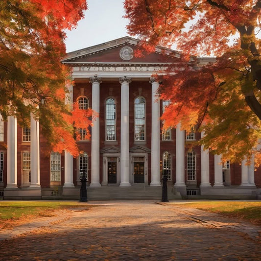 You’ve never met your roommate… but live together.