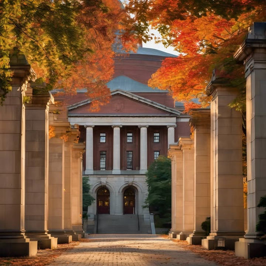 You’ve never met your roommate… but live together.