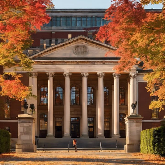 Studying next to someone silently… for moral support.
