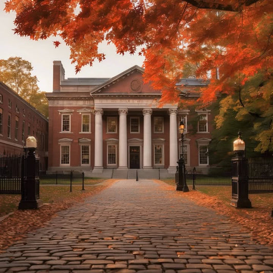 Making memes about campus life that only 0.01% understand.