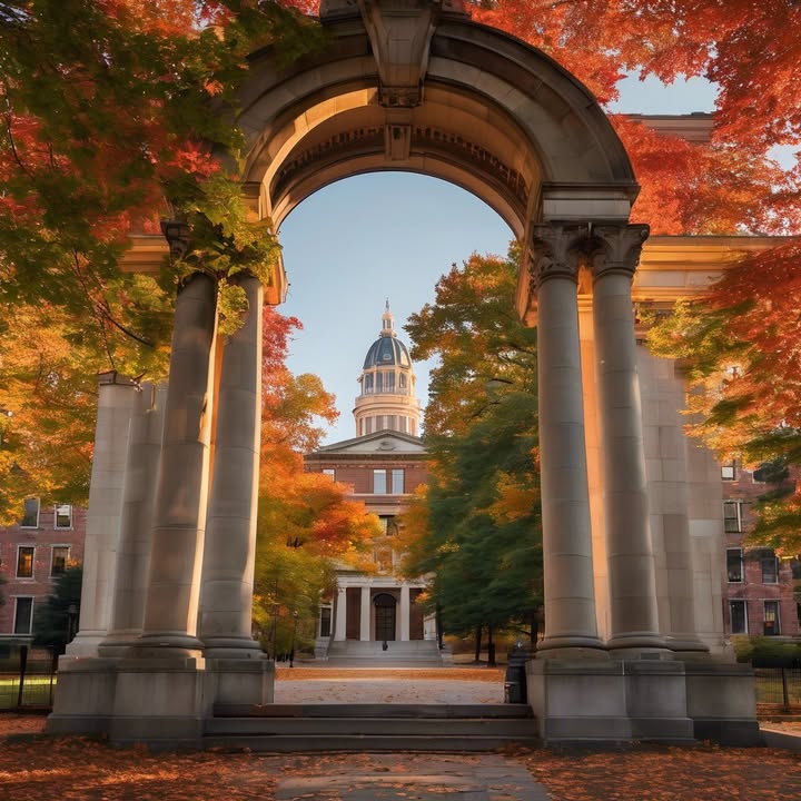 Building a chair out of dirty laundry.