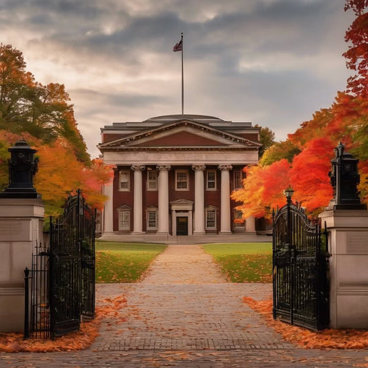 Inventing recipes with vending machine items.