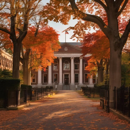 Reaching out to old classmates just to say hi.