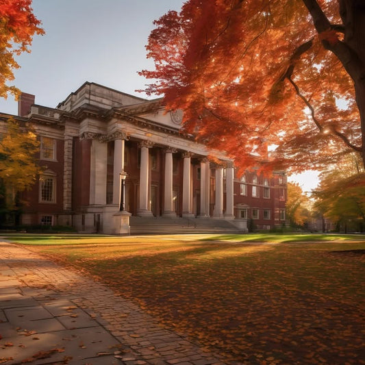 Window stuck open all winter.