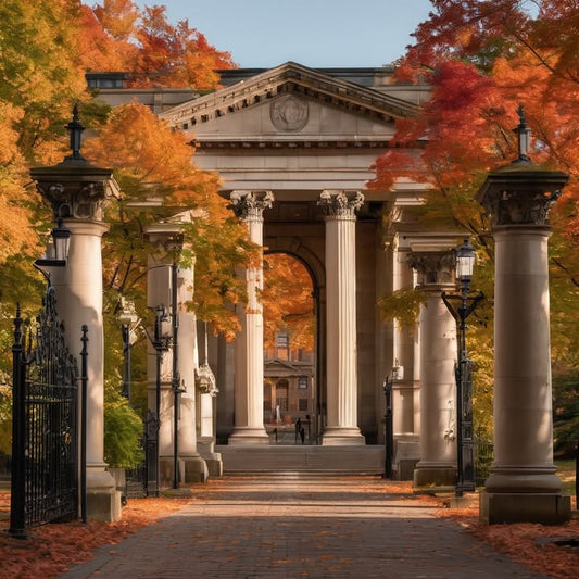 One roommate is pre-med, the other’s in a band. Chaos.