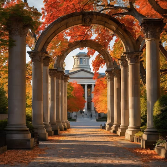 Moments of clarity in the middle of academic despair.