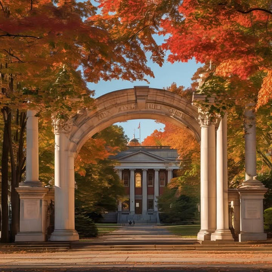 Roommate who always brings their situationship over.