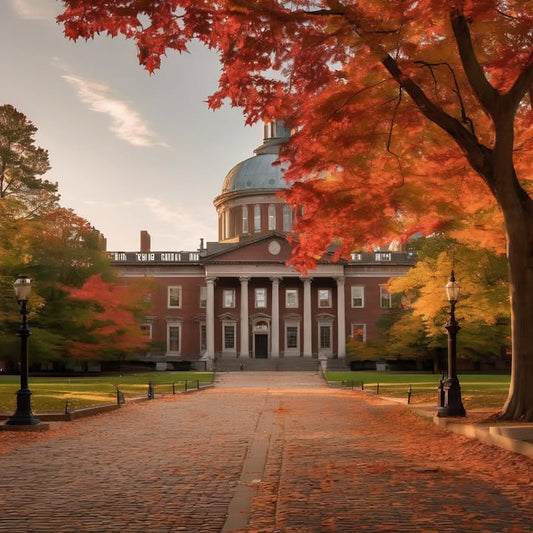 Snowball fights at midnight with strangers who become friends.