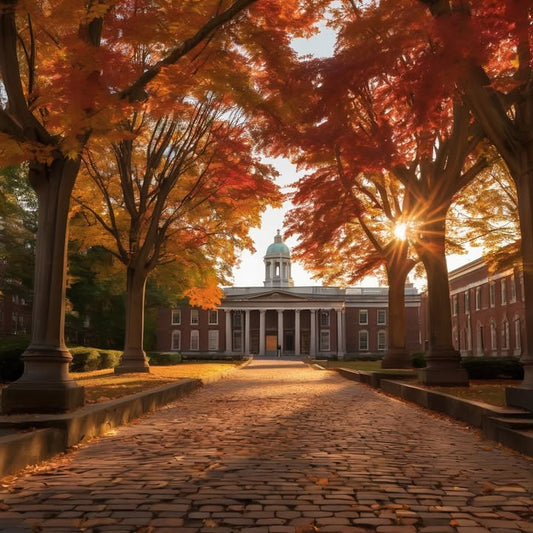 Feeling boxed in by the school’s reputation.