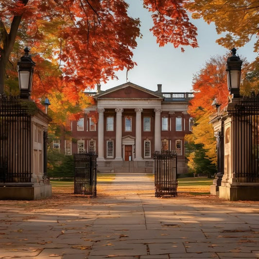The giant snowball fight that comes out of nowhere.