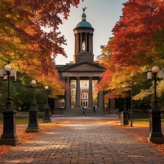 …befriend the mouse in your room and name it.