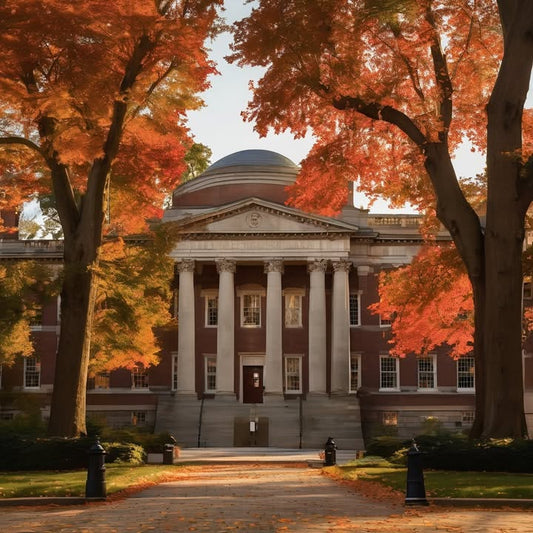 Learning that “smart” doesn’t always mean fulfilled.