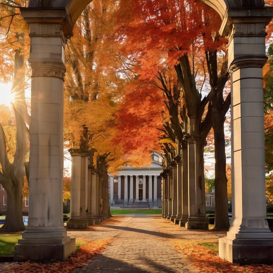 Learning that empathy > prestige in real teams.