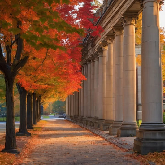 Trying to define “success” at 4 a.m.