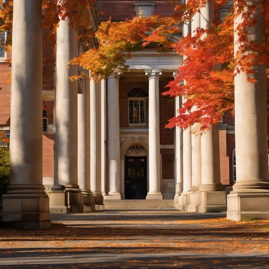 Trying to make friends post-college and not knowing how.