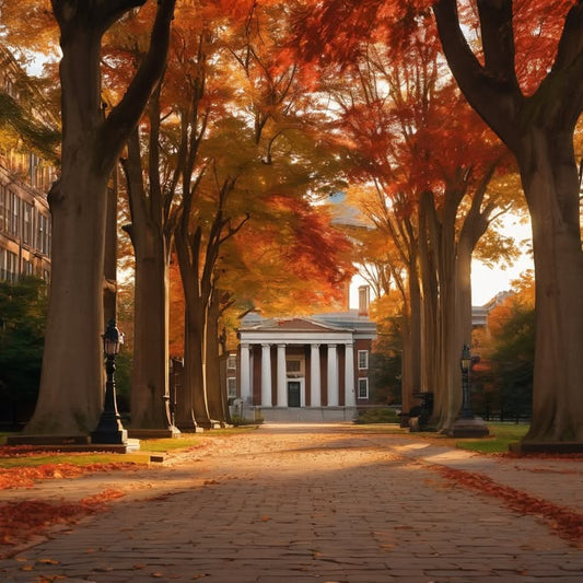 Looking at restaurant menus and thinking “Too many options.”