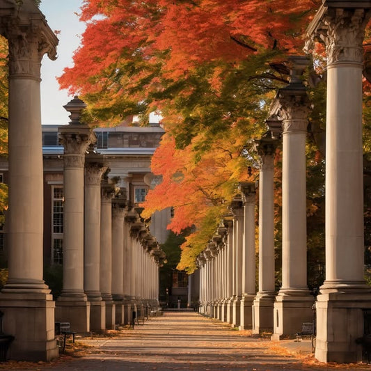 Feeling aimless even when “on track.”