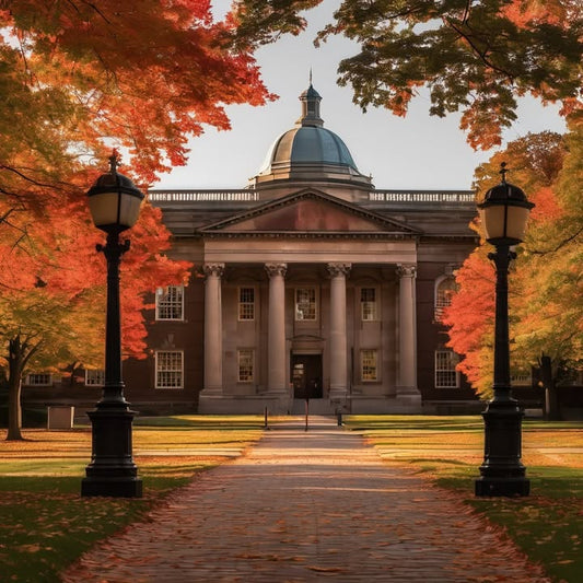 Therapy suddenly makes more sense.