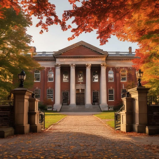 Trying to make friends post-college and not knowing how.