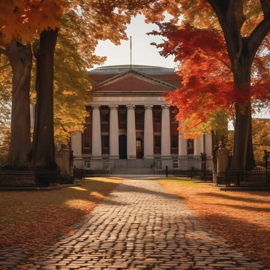 One roommate is pre-med, the other’s in a band. Chaos.