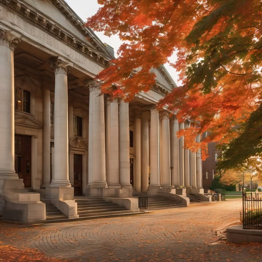 The grassy patch where you always ate lunch alone (and loved it).