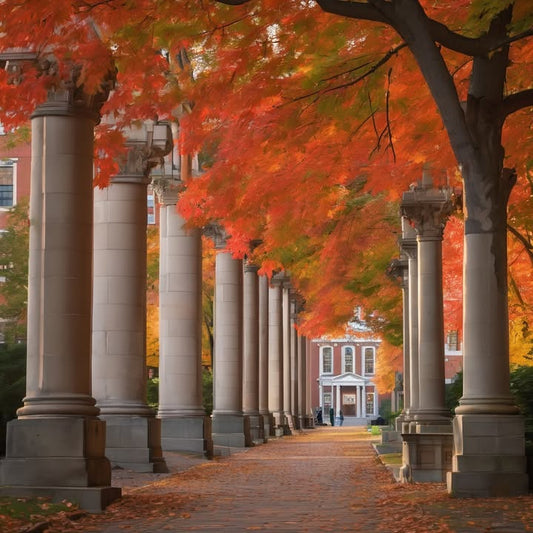 Running around campus barefoot in the first snowfall.