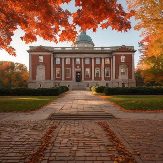 Studying next to someone silently… for moral support.