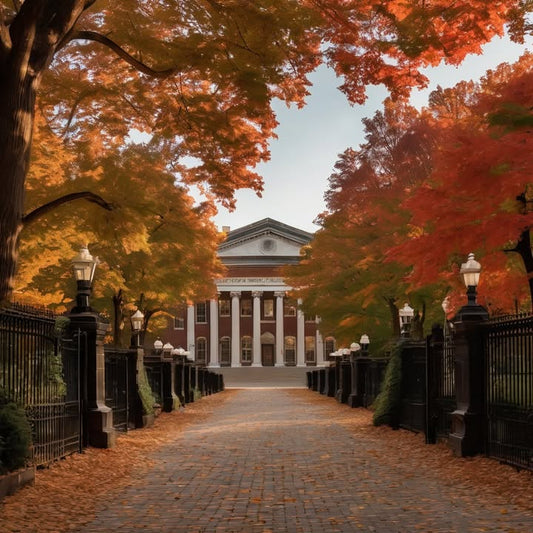 Reaching out to old classmates just to say hi.