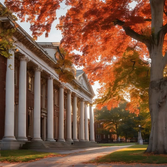 Submitting 100 applications and hearing back from 2.