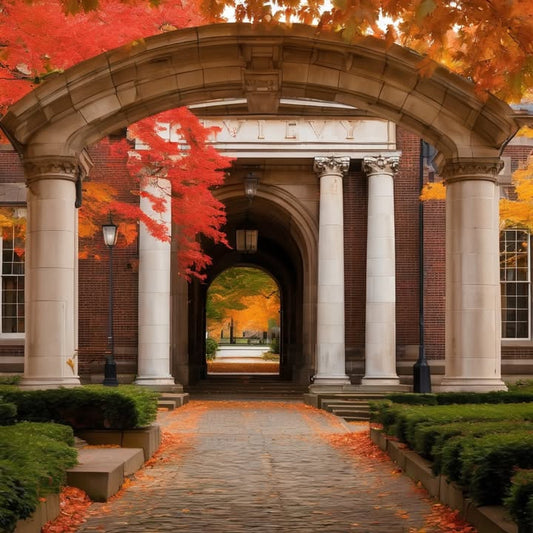 Falling in love with a field you didn’t know existed.