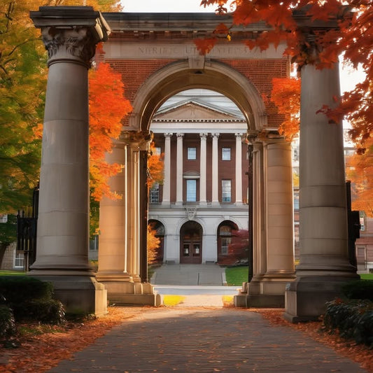 That one hidden study spot no one talks about—but everyone knows.